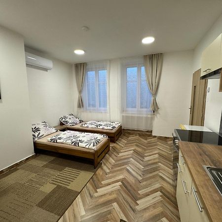 Apartament Holicak Ołomuniec Zewnętrze zdjęcie