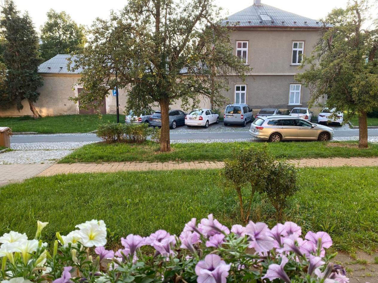 Apartament Holicak Ołomuniec Zewnętrze zdjęcie