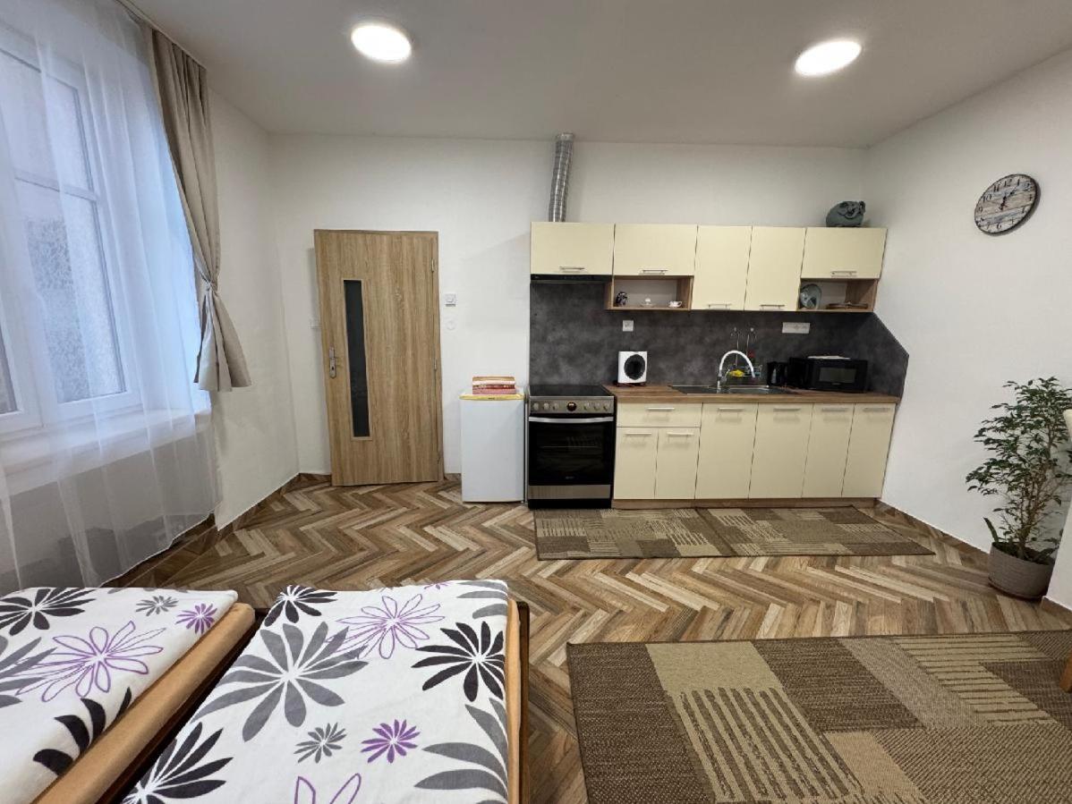 Apartament Holicak Ołomuniec Zewnętrze zdjęcie